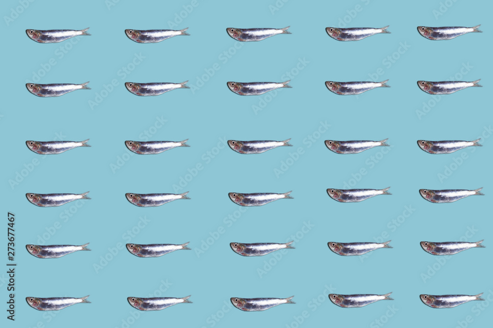 Anchovies fish pattern on trendy blue color background. Food concept Anchovies fish pattern on trendy blue color background. Food concept
