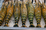 shrimp in the fresh market