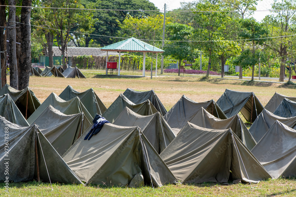 Scout tent in forest camp.