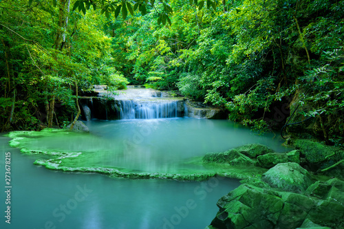 water fall in green forest