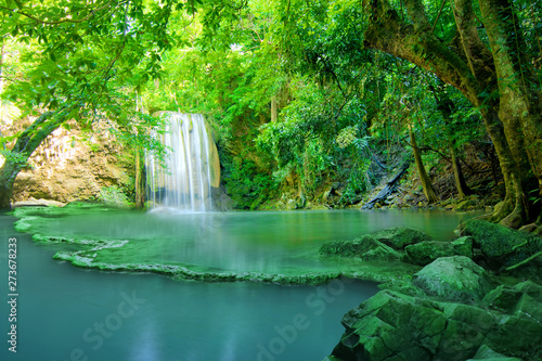 water fall in green forest