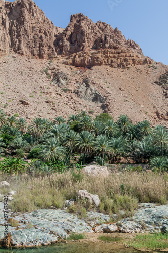 Wadi Tiwi valley  Oman