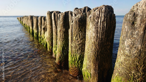 Old wooden breakwater with moss on sea coast. Vintage waves protection in Kolobrzeg.