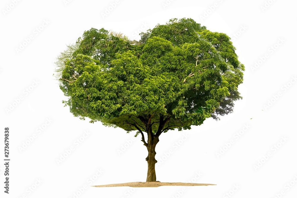 Fototapeta premium Tree isolated on a white background Bright heart-shaped tree