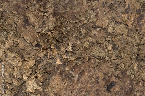 Cow dung texture background with natural