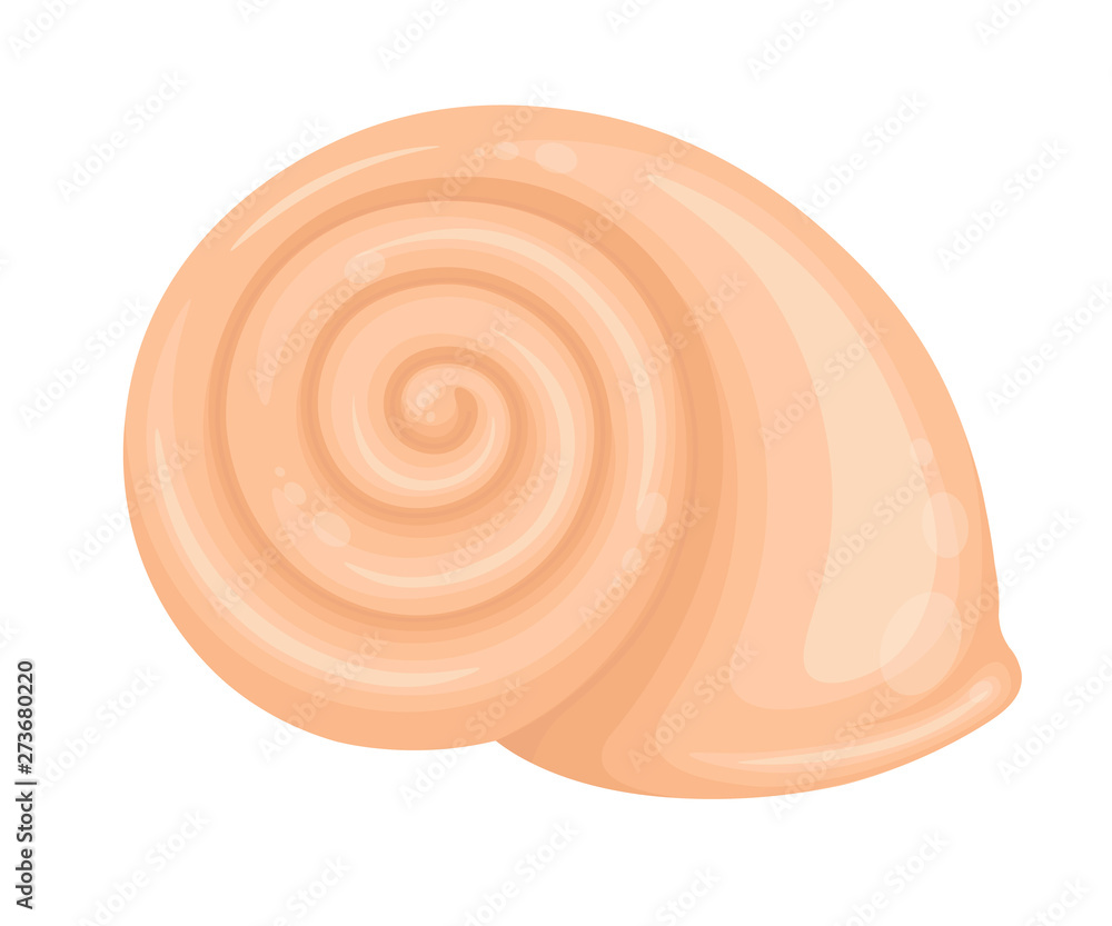 Seashell in cartoon style isolated on white background - Vector illustration. Seashell in cartoon style isolated on white background - Vector illustration.