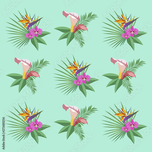 Plants and flowers for background vector flat