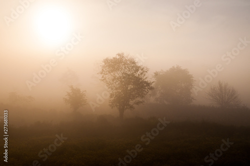Early morning mist in a village in Myanmar