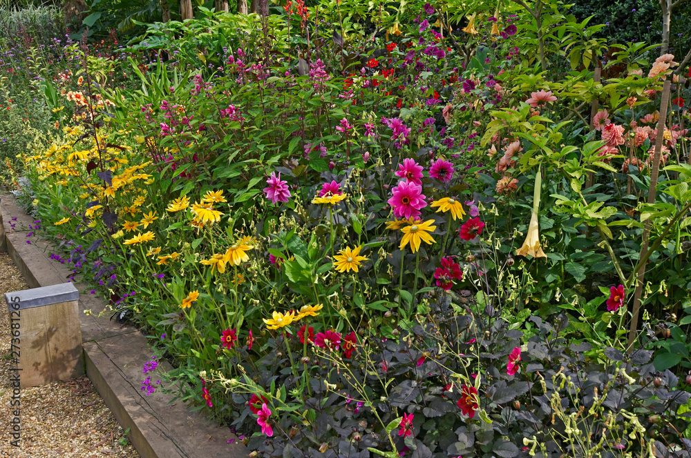 View of a colourful flower border at an old English Cottage garden