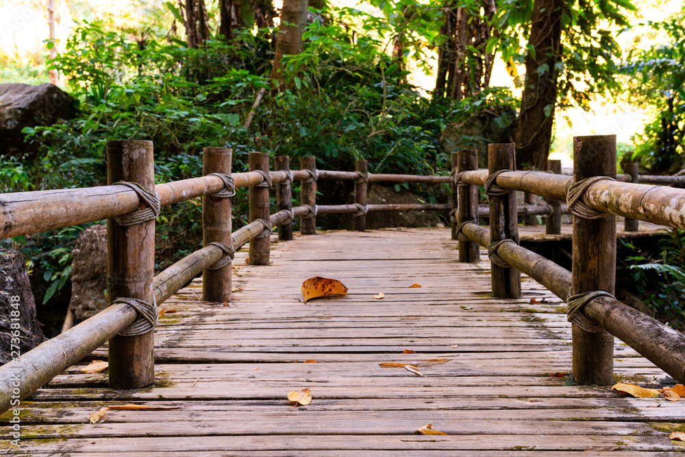 Naklejka premium bridge walk