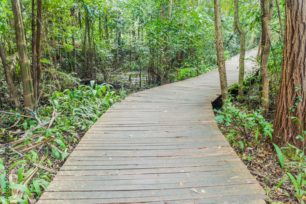 Boardwalk in National Kandawgyi Botanical gardens in Pyin Oo Lwin, Myanmar Boardwalk in National Kandawgyi Botanical gardens in Pyin Oo Lwin, Myanmar