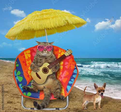 The cat with an acoustic guitar is sitting in a beach chairs under the straw umbrella on the sea shore. His dog is next to him. © iridi66