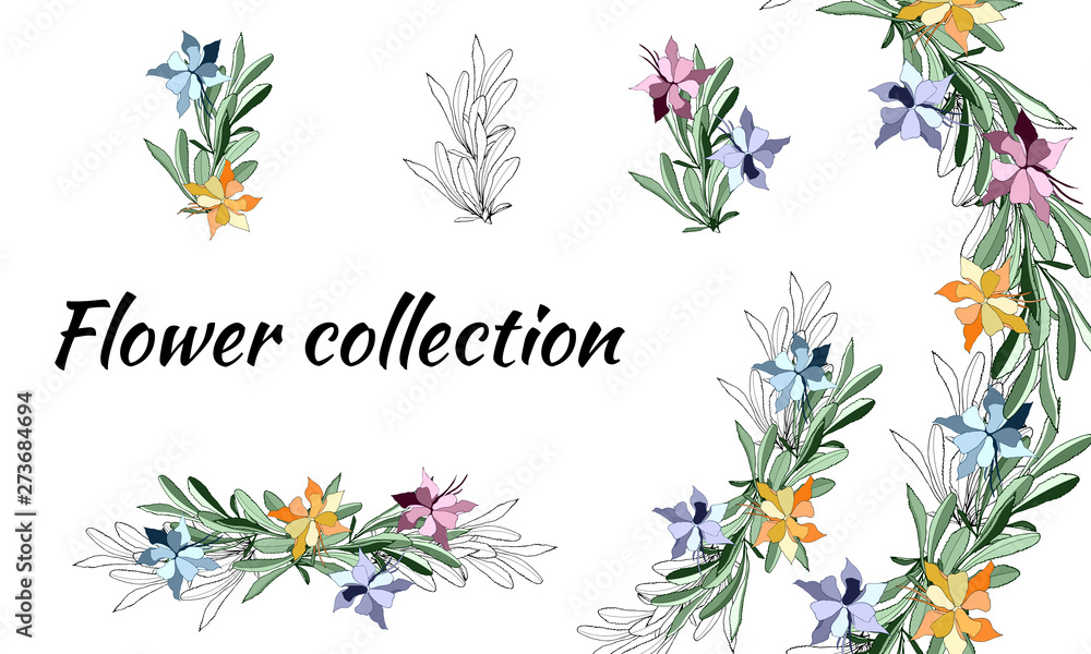 Set of multicolored and contour spring flowers. Vector floral brushes. For decoration, paper, cards, greetings. Vector illustration.