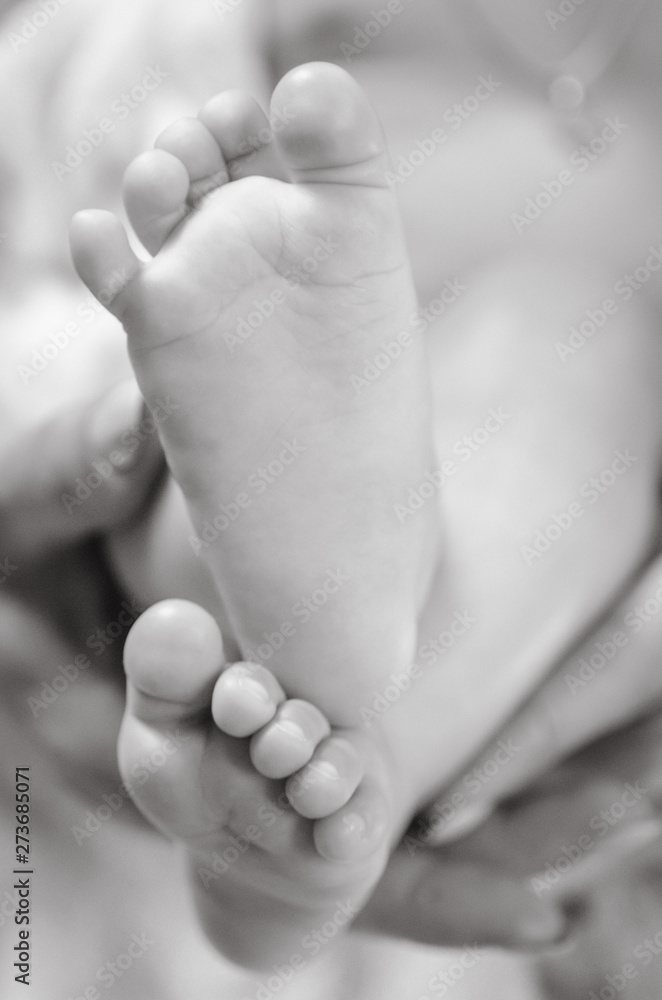 baby newborn baby newborn
