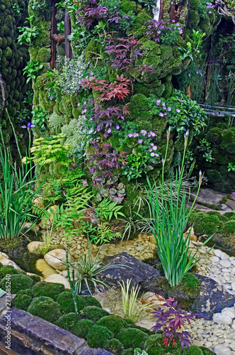 Japanese moss and water garden with flowers and plants