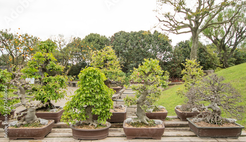Der Spirited Garden mit den Bonsai Bäumen auf Jeju