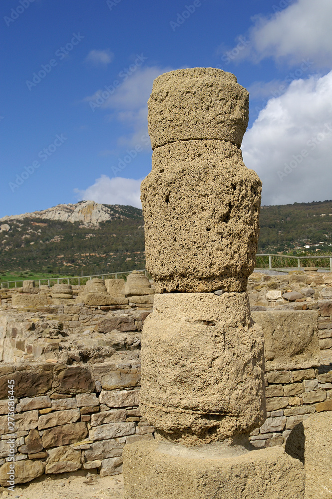 Tarifa (Cádiz) Spain. Column in the archaeological site of Baelo Claudia