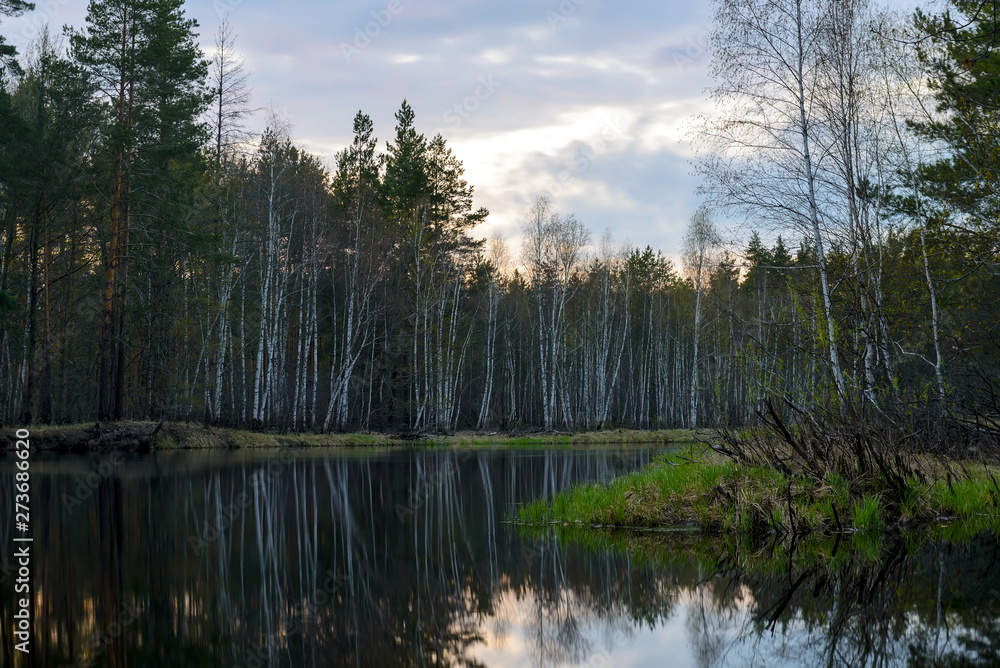 Autumn evening landscape with the river and a beautiful tree Autumn evening landscape with the river and a beautiful tree