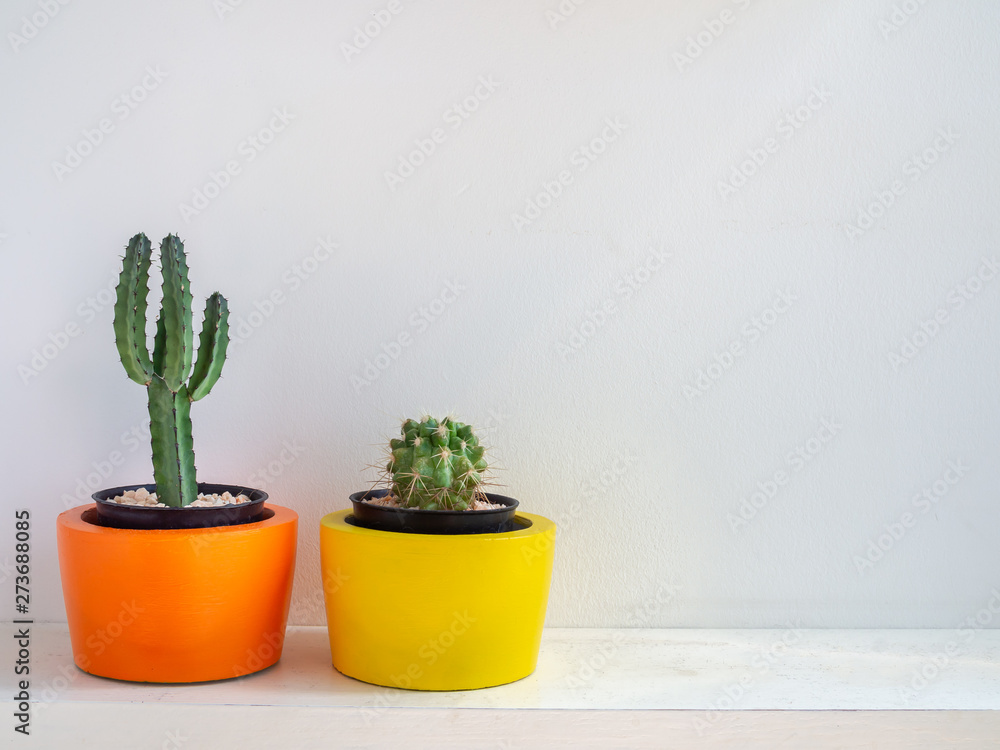 Beautiful round concrete planters with cactus plant. Colorful painted concrete pots for home decoration Beautiful round concrete planters with cactus plant. Colorful painted concrete pots for home decoration