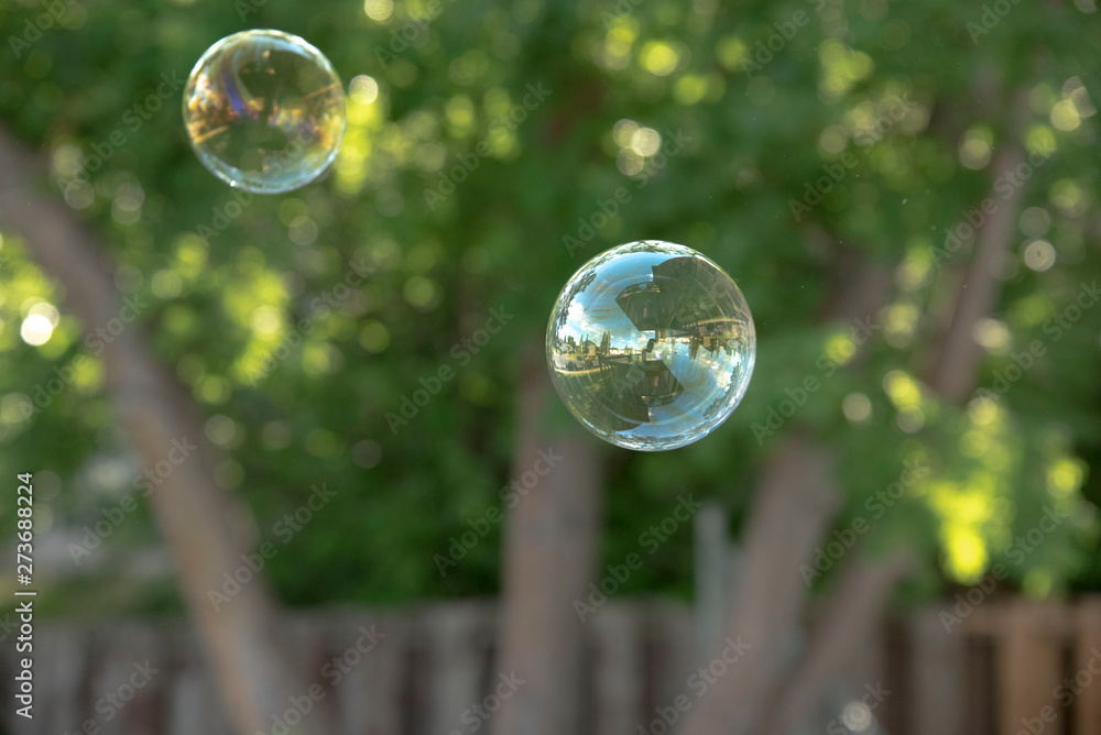 bubbles in the park bubbles in the park