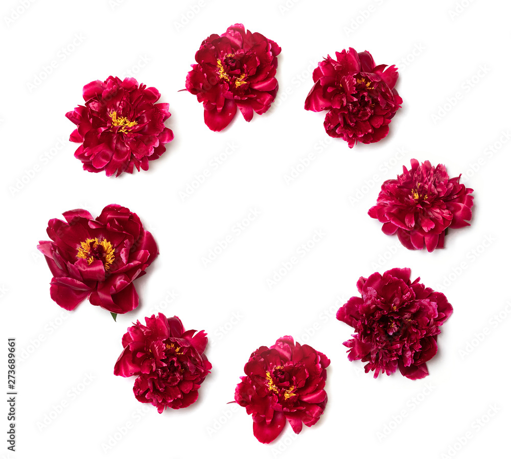 Spring concept. Round frame in the form of red peonies on a white background