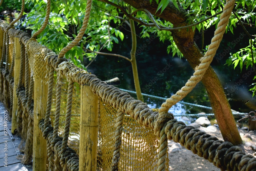 Fototapeta premium bridge in the Park