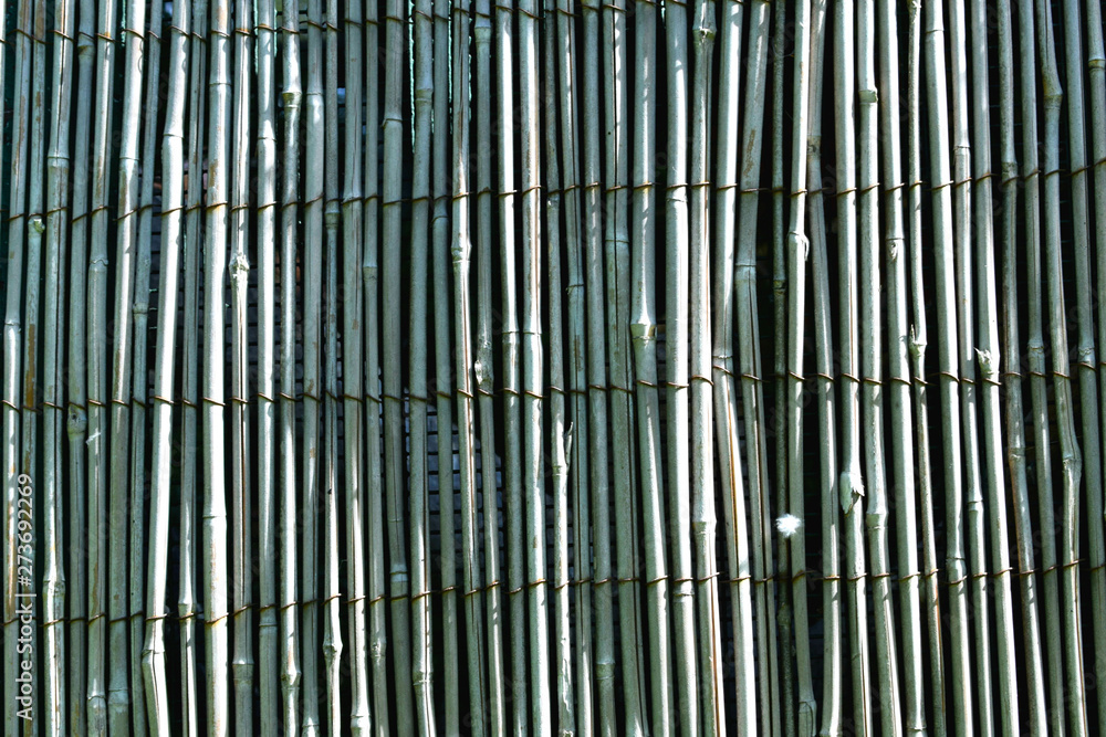 Fototapeta premium abstract background