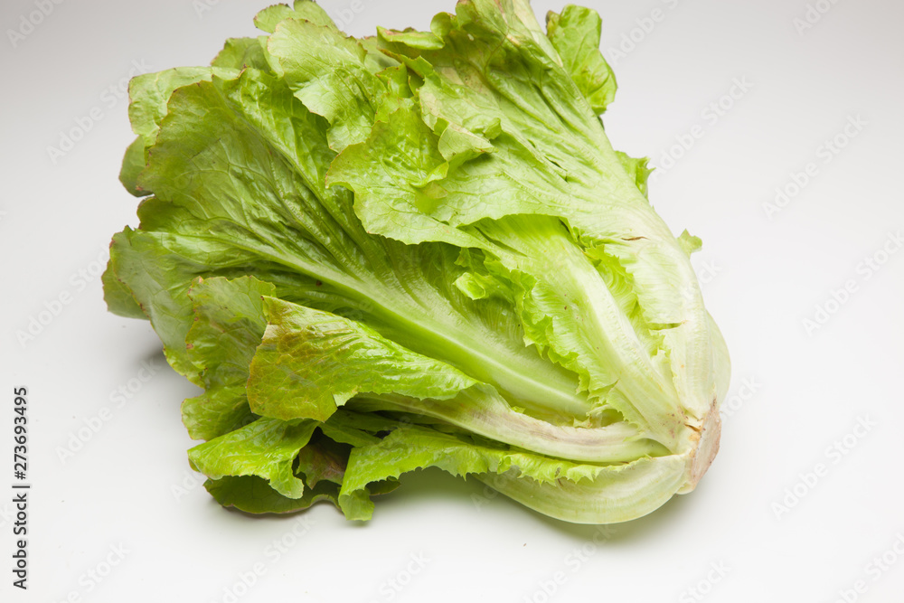 La Lechuga es un alimento que se puede comer en ensaladas acompañada de tomate, pepino, cebolla aderezada con aceite y sal. La Lechuga es un alimento que se puede comer en ensaladas acompañada de tomate, pepino, cebolla aderezada con aceite y sal.