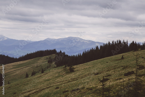 foggy landscape in the wild Carpathian mountains