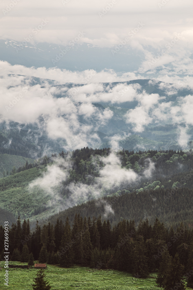 foggy landscape in the wild Carpathian mountains