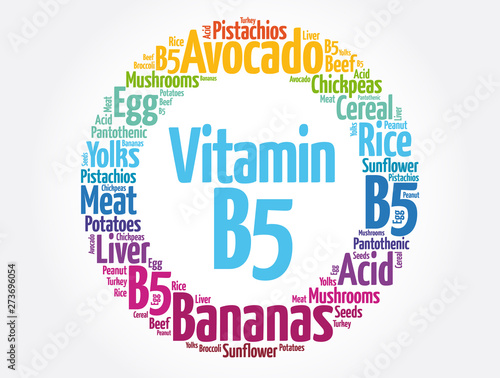 Vitamin B5 word cloud collage, health concept background photo