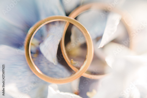 Wedding rings close-up macro shot. Rings of the bride and groom