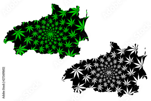 Ivanovo Oblast (Russia, Subjects of the Russian Federation, Oblasts of Russia) map is designed cannabis leaf green and black, Ivanovo Oblast map made of marijuana (marihuana,THC) foliage,....