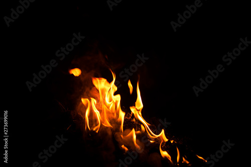 Fire flames on a black background