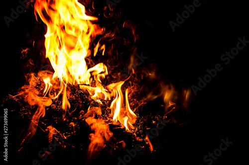 Fire flames on a black background