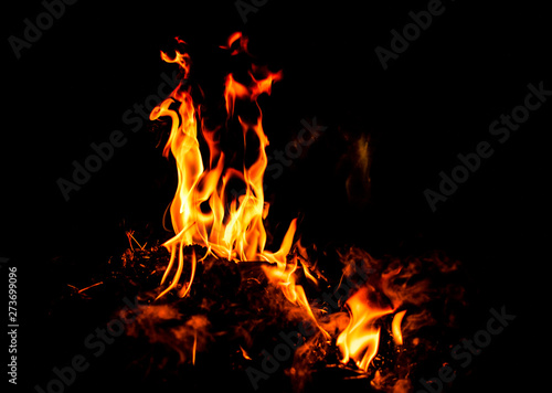 Fire flames on a black background