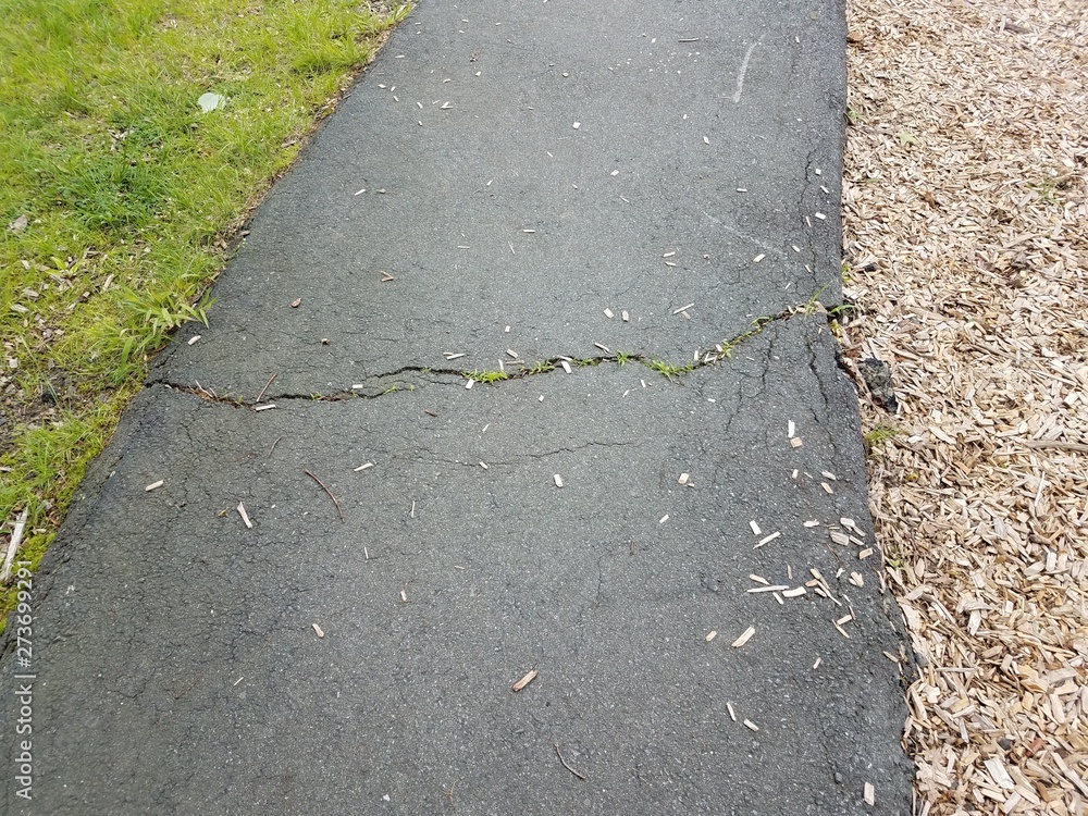 Fototapeta black asphalt trail or path with cracks and grass