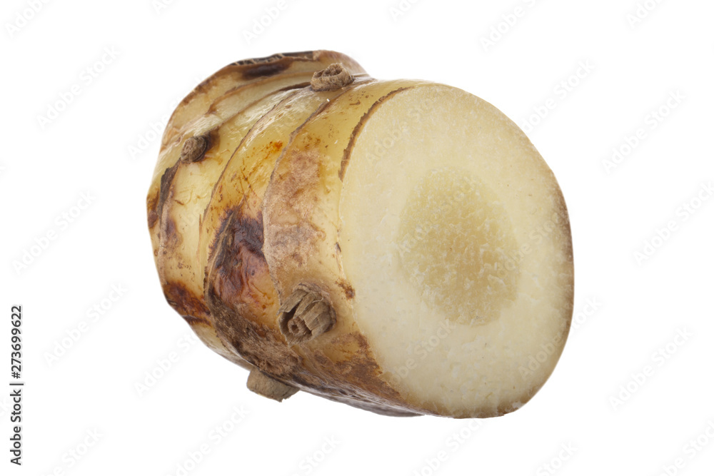 Obraz premium slice of fresh galangal root isolated on white background