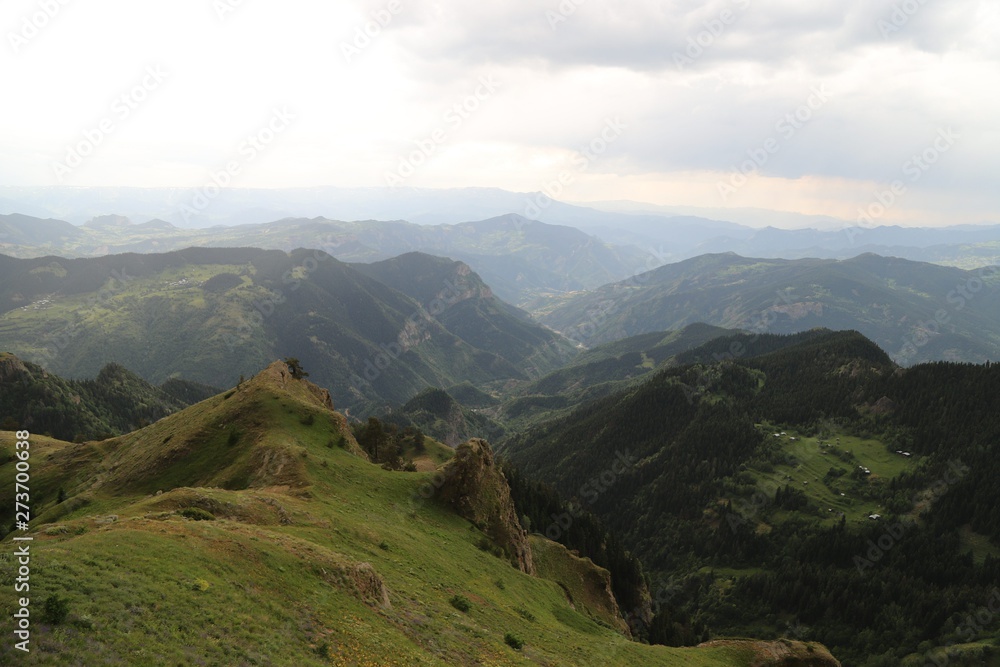Fototapeta premium beautiful dark blue mountain landscape with fog and forest.artvin/turkey