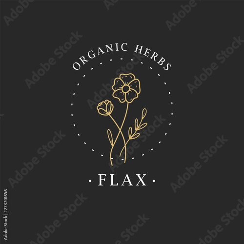 Flax flower. Logo for spa and beauty salon, boutique, organic shop, wedding, floral designer, interior, photography, cosmetic. Botanical floral element.