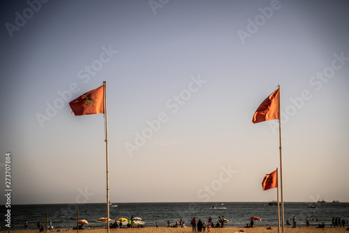 Flag on the beach © DK-ART