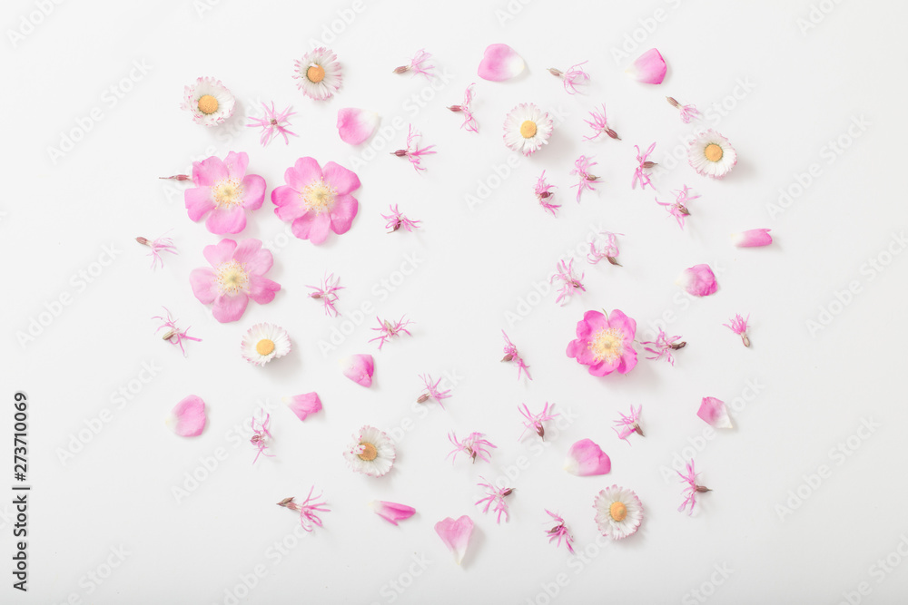 summer flowers on white background summer flowers on white background