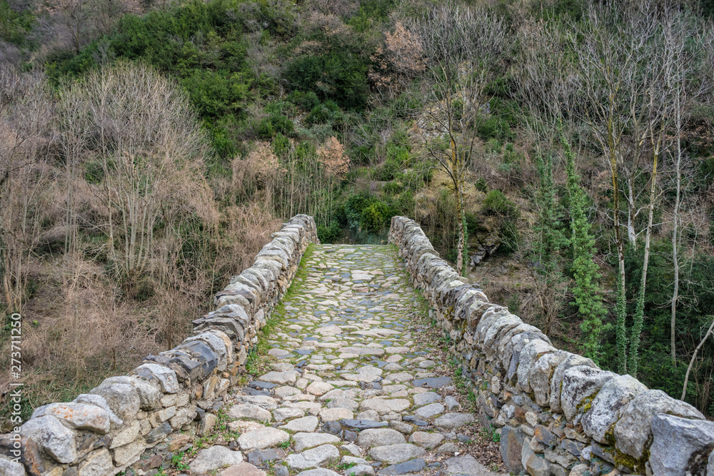 Fototapeta premium Roman bridge