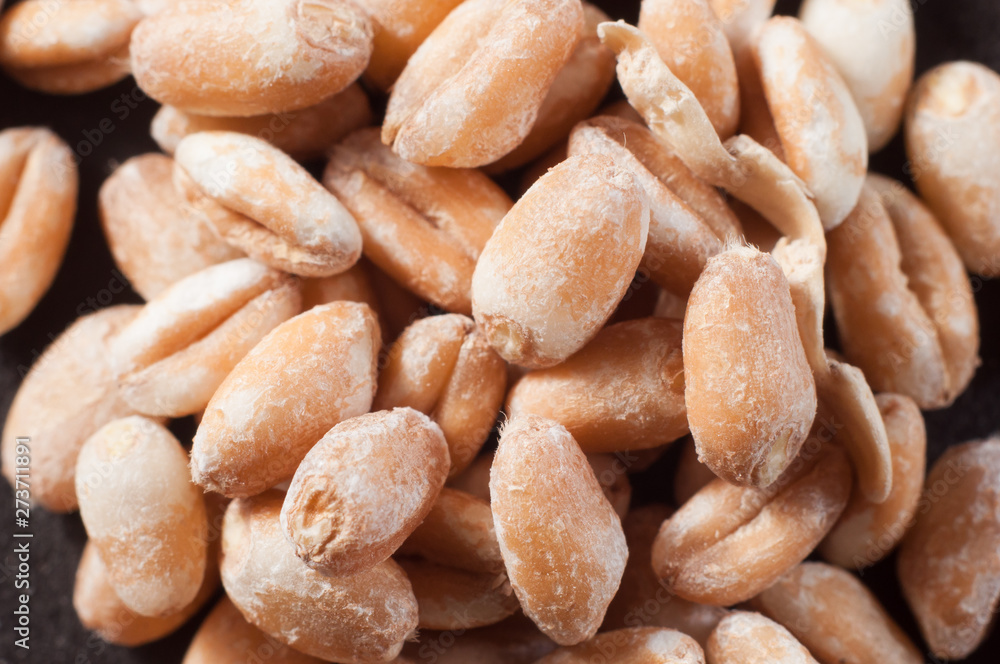 Whole grain wheat grains close-up. Macro shooting. Whole grain wheat grains close-up. Macro shooting.