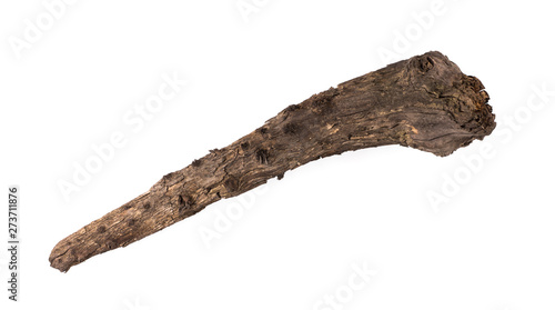 ancient club,wooden cudgel, Truncheon of stone age on a white background