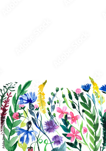 Watercolol hand painted floral set with summer wildflowers and inflorescences isolated on white background. Healing Herbs for cards, wedding invitation, posters, save the date or greeting design.