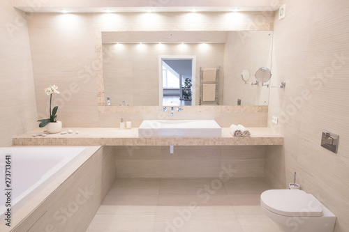 modern bathroom interior