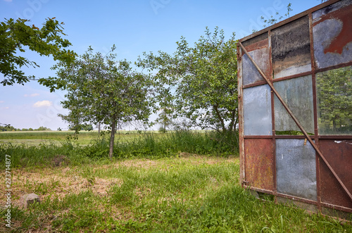 An old rusty open greenhouse gate in a rural garden © MaciejBledowski