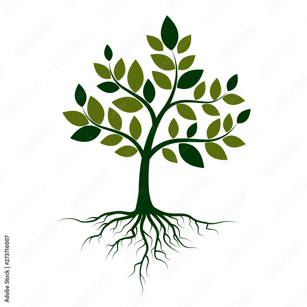 Green tree with roots on a white background. Vector Illustration