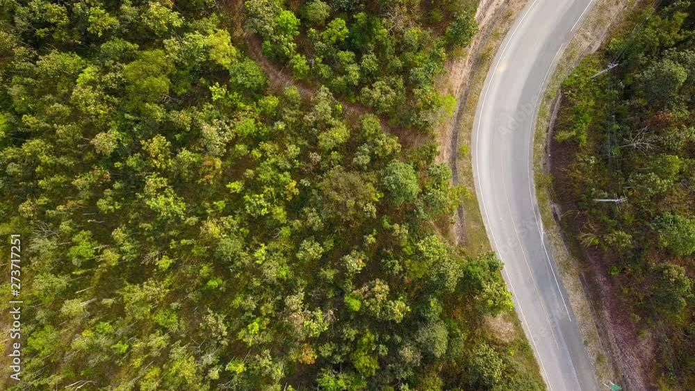 Aerial view flying over jungle with road two lane and the white car driving along the road. Moving camera to high up, zoom out. Aerial view flying over jungle with road two lane and the white car driving along the road. Moving camera to high up, zoom out.